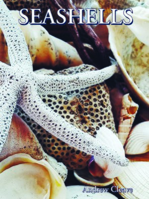 cover image of Seashells